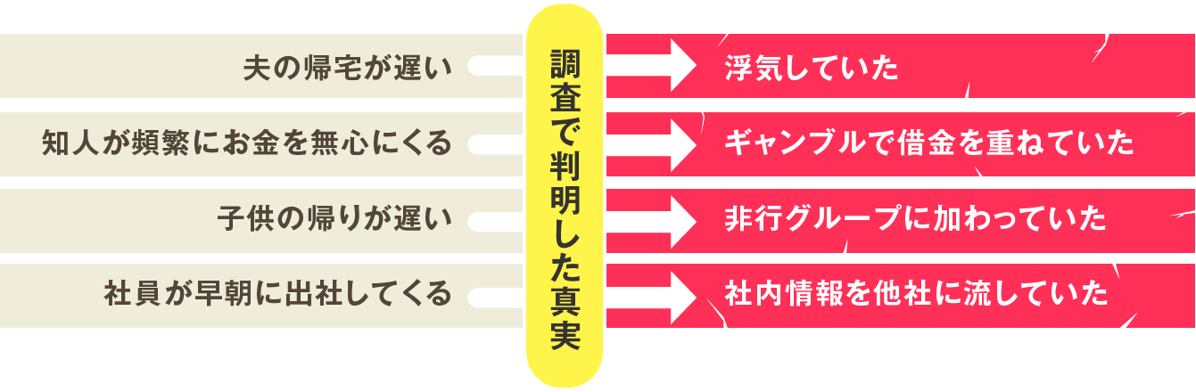 調査で判明した事実