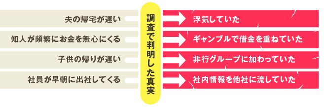 調査で判明した事実